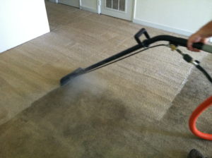 Carpet steam cleaning Watsonia